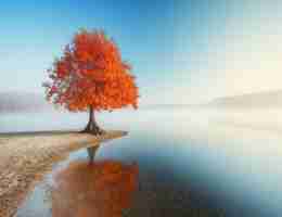 免‌费​ssl证‌书﻿插‍件​是‍什﻿么​